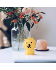 Bundle of Light - Lion