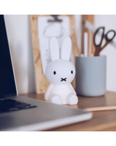 Bundle of Light - Miffy