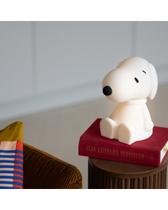 Bundle of Light - Snoopy Bundle of Light - Snoopy