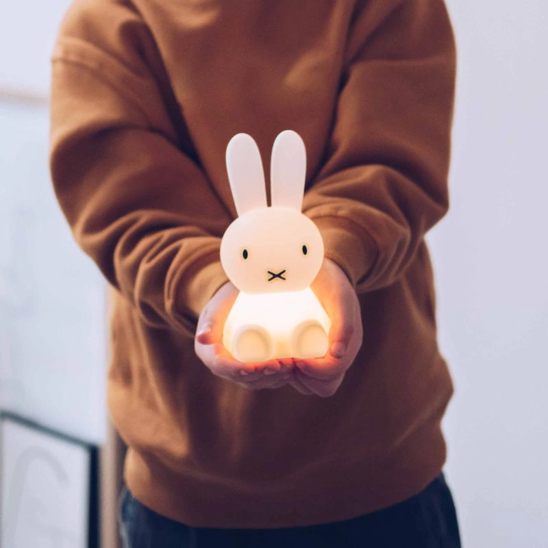 Bundle of Light Miffy Mr Maria