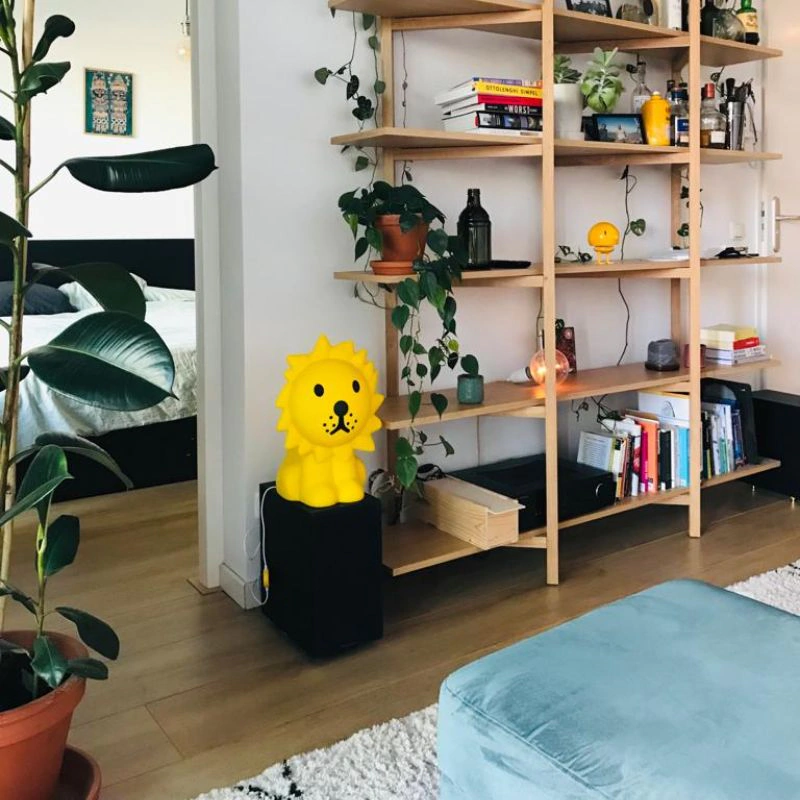 Lion Star Light Mr Maria