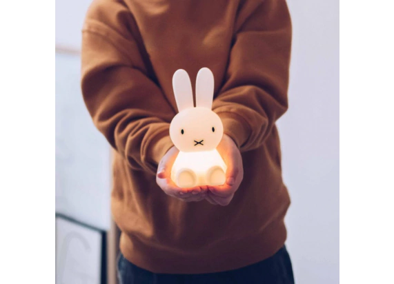 Bundle of Light Miffy Mr Maria