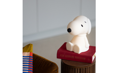 Bundle of Light - Snoopy