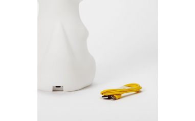 MRCAB12 - charging cable
